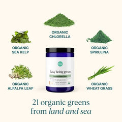 Scoop of Ora Organic Greens Powder in a smoothie