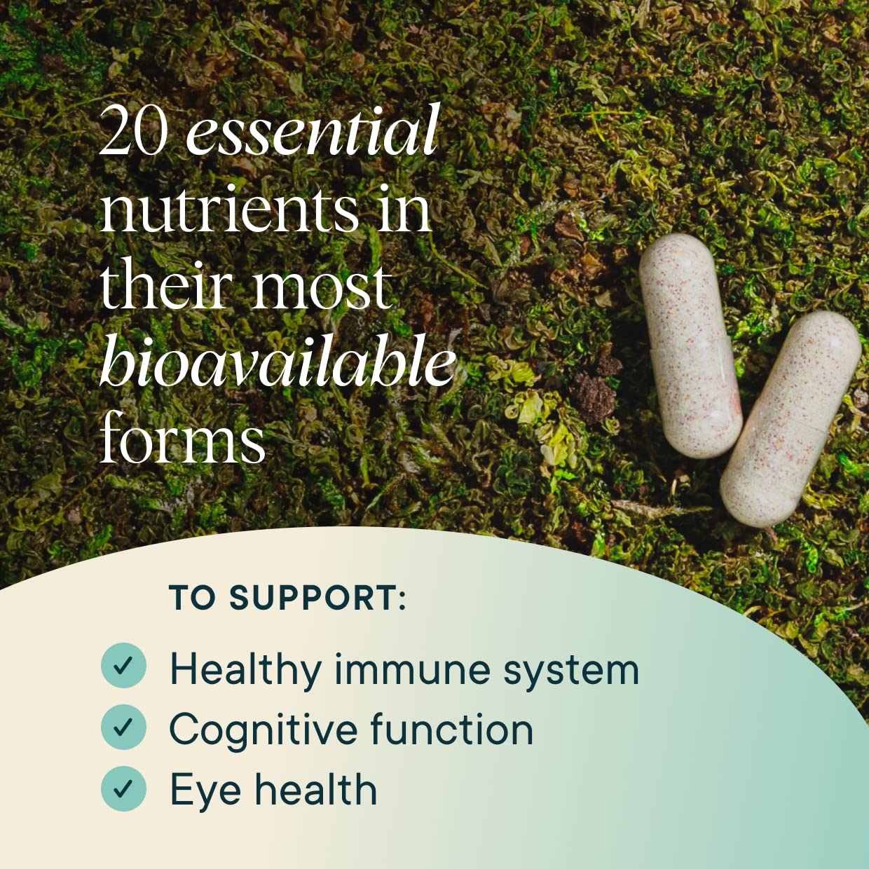 Ora Organic Modern Multi immune support visual for immune defenses and resilience.