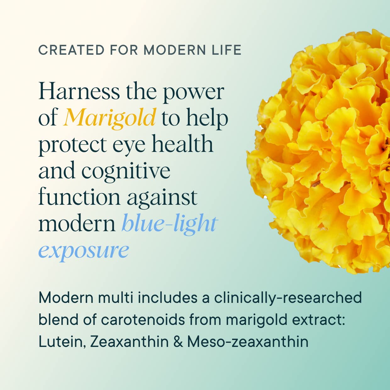 Ora Organic Modern Multi skin and hair closeup showing potential beauty benefits.