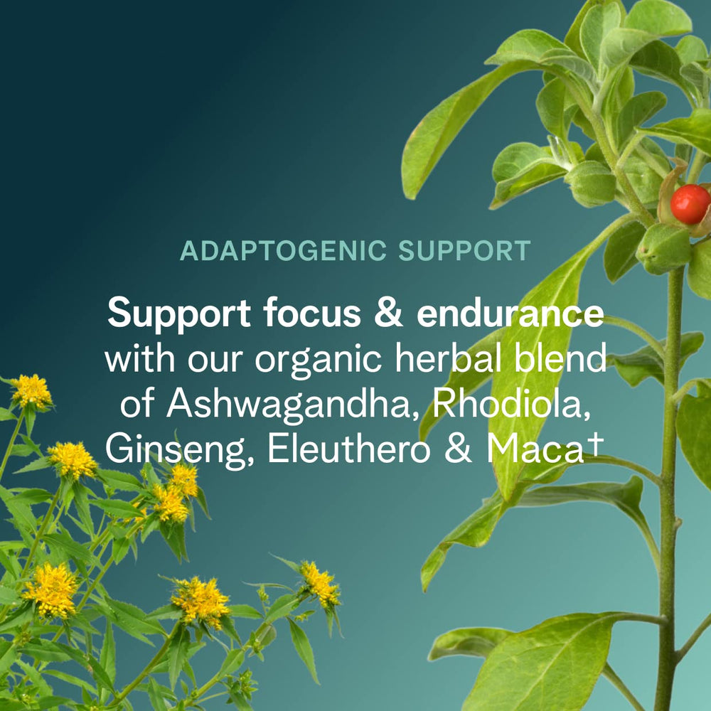Close-up of Ora Organic pre-workout ingredient blend with adaptogens