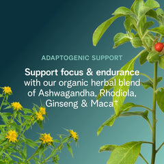 Ora Organic pre-workout caffeine sources image highlighting natural energy