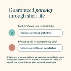 Ora Organic Probiotics travel‑ready bottle illustrating shelf‑stable convenience