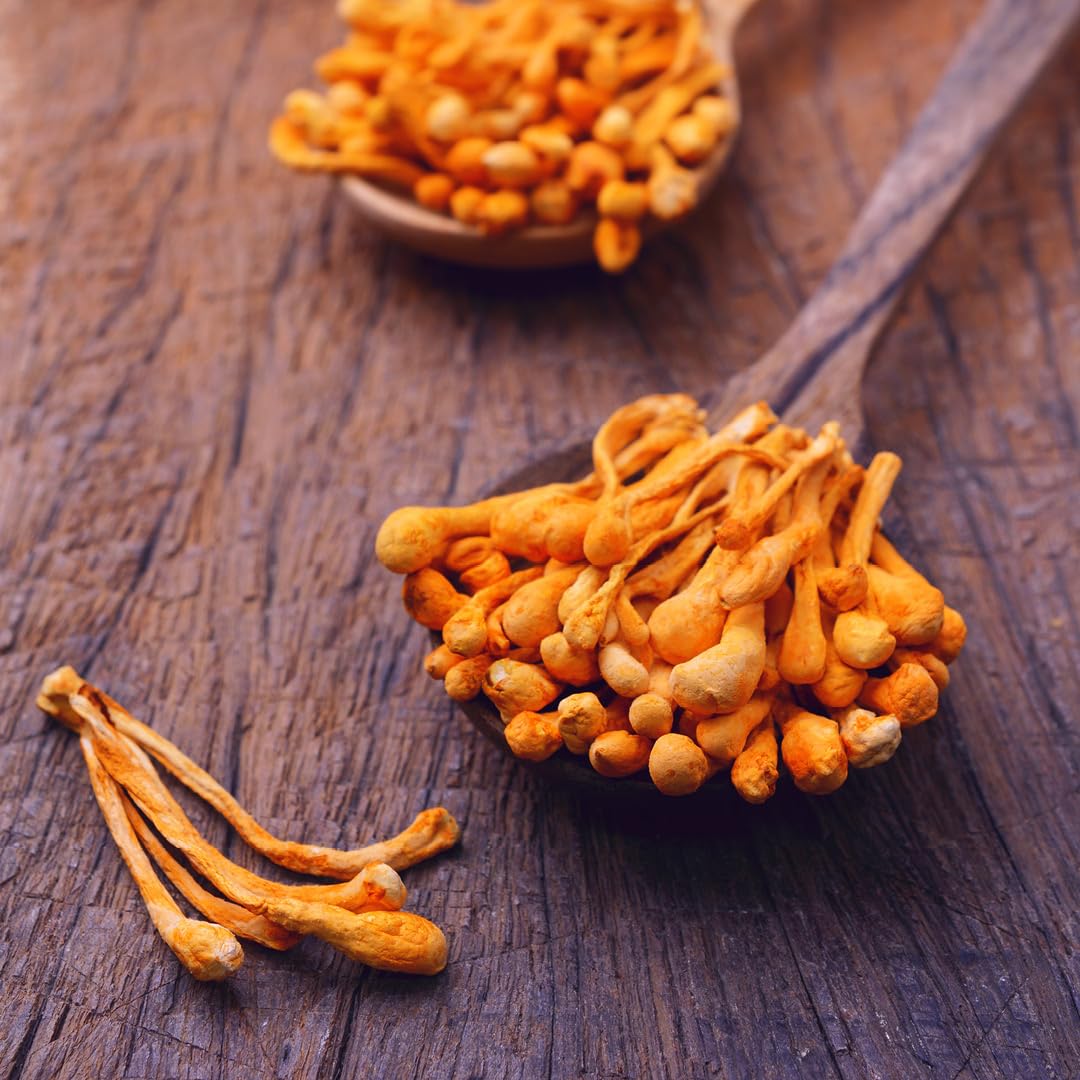 Morning-use scene with Oregon's Wild Harvest Cordyceps bottle.