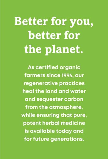 Nova Scotia coast harvest image—kelp sourced from pristine oceans