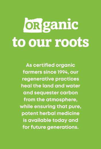 Organic certification stamp signals trusted sourcing and quality