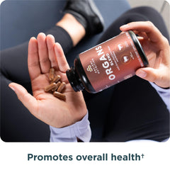 Ancient Nutrition organ supplements label shows quality and sustainable sourcing.