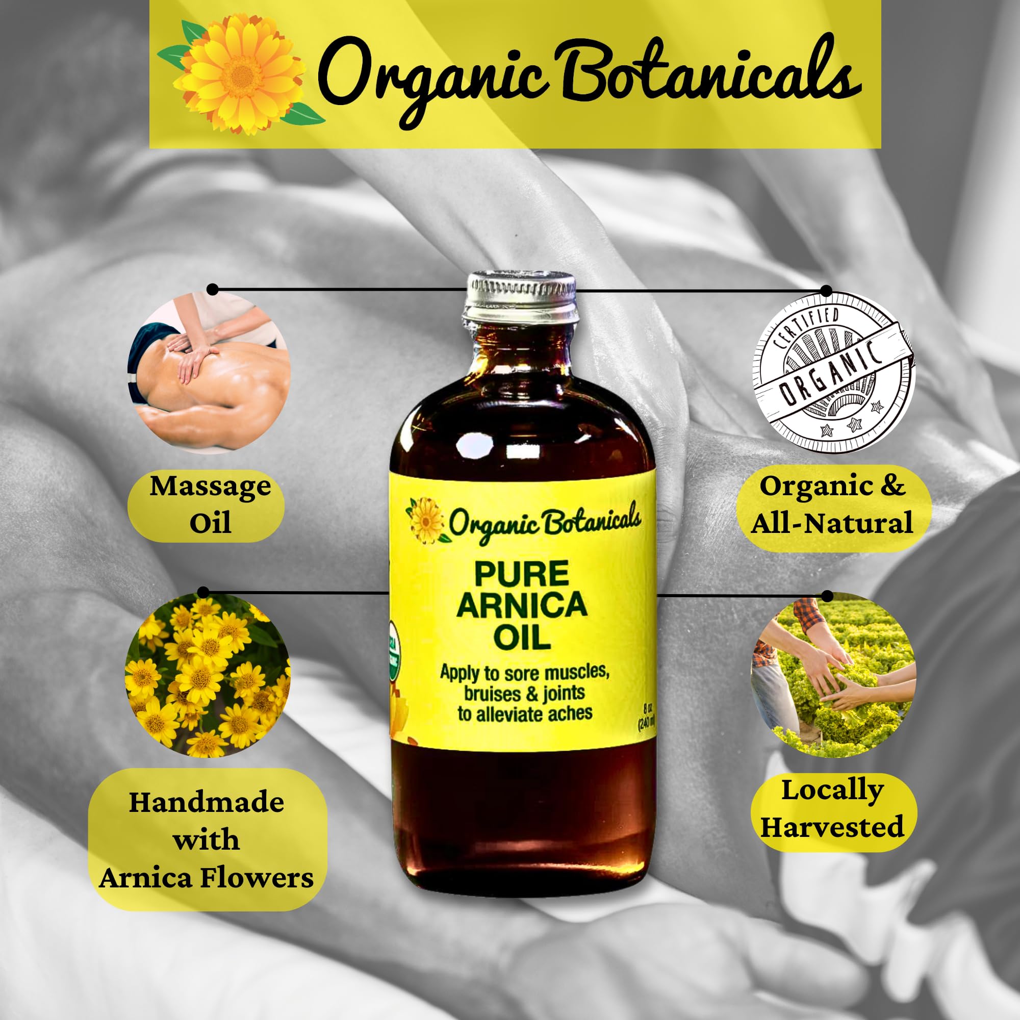 Close-up of Organic Botanicals Arnica flowers used to make the oil
