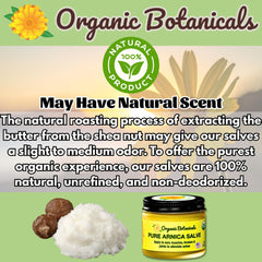 Organic Botanicals Arnica Salve applied on a knee shows targeted support.