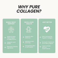 Organic Collagen Australia spirulina powder visual suggesting antioxidant-rich benefits.