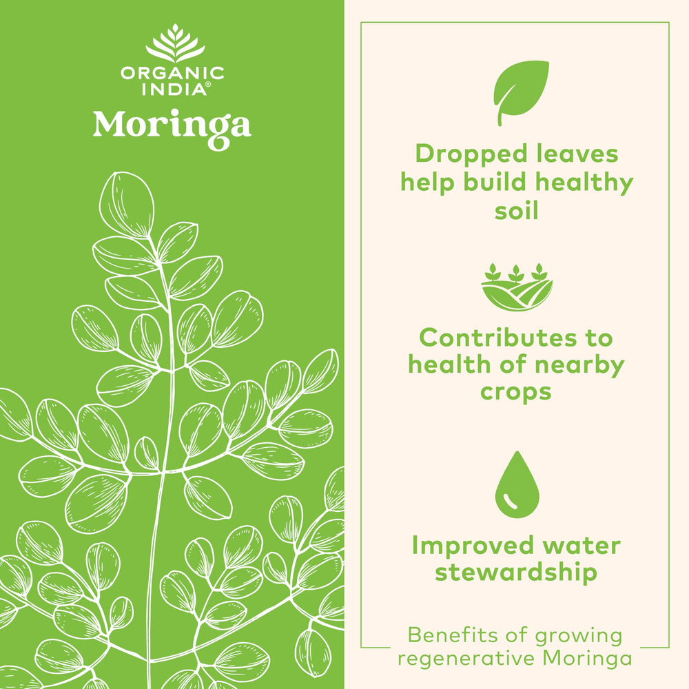 Organic India moringa capsules on a shelf, potential daytime energy support.