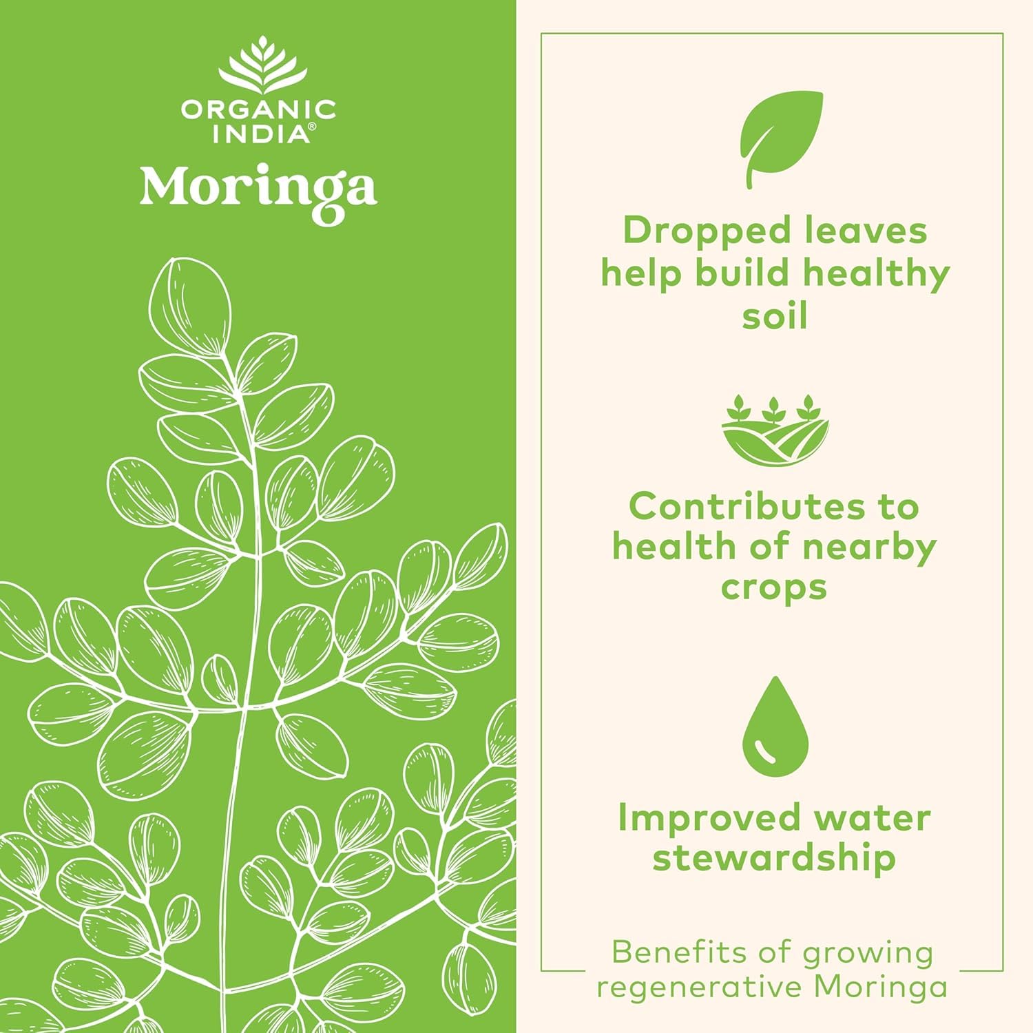 Organic India Moringa Powder packaging showing USDA Organic certification and rich nutrients.