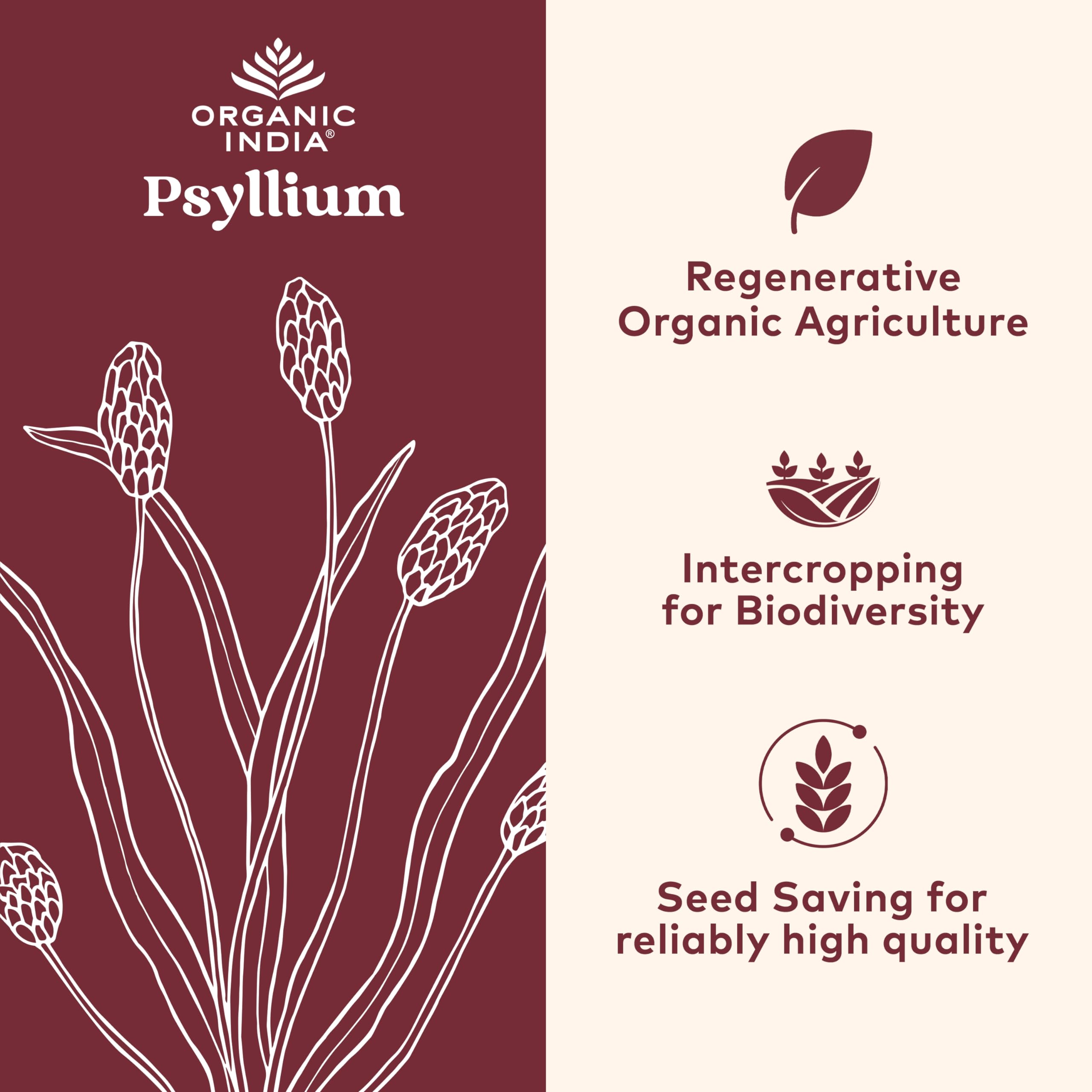Organic India Psyllium Herbal Powder capsules closeup for convenient fiber supplementation