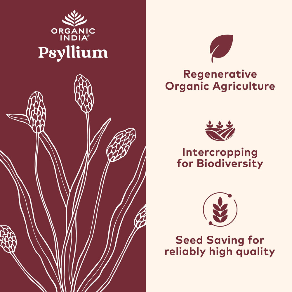 Organic India Psyllium Herbal Powder capsules closeup for convenient fiber supplementation