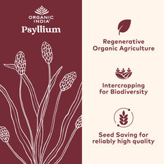 Organic India Psyllium Herbal Powder capsules closeup for convenient fiber supplementation