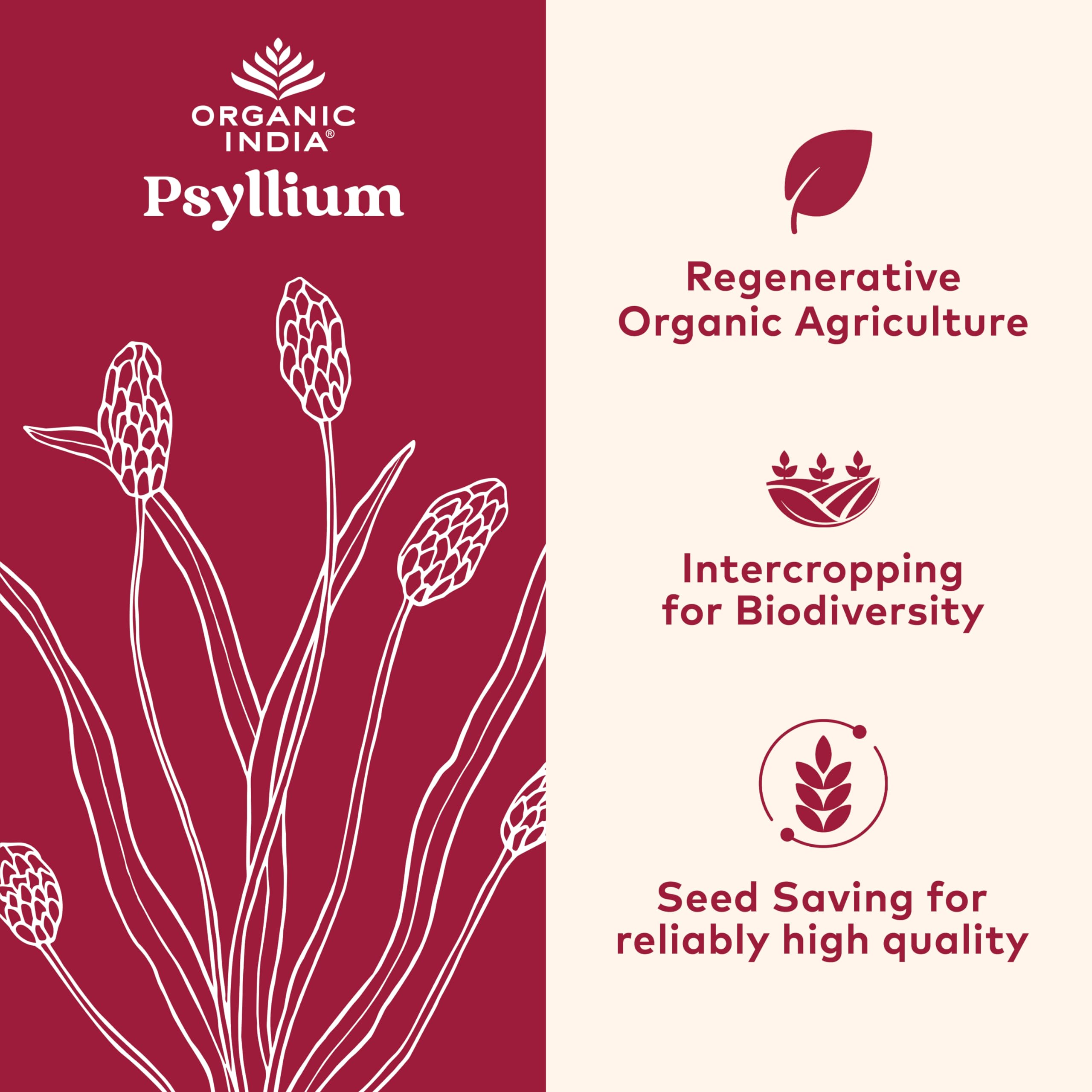 Organic India Psyllium powder dispensing bottle shows simple serving for fiber support
