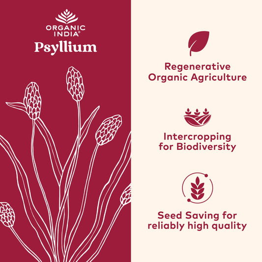 Organic India Psyllium powder dispensing bottle shows simple serving for fiber support