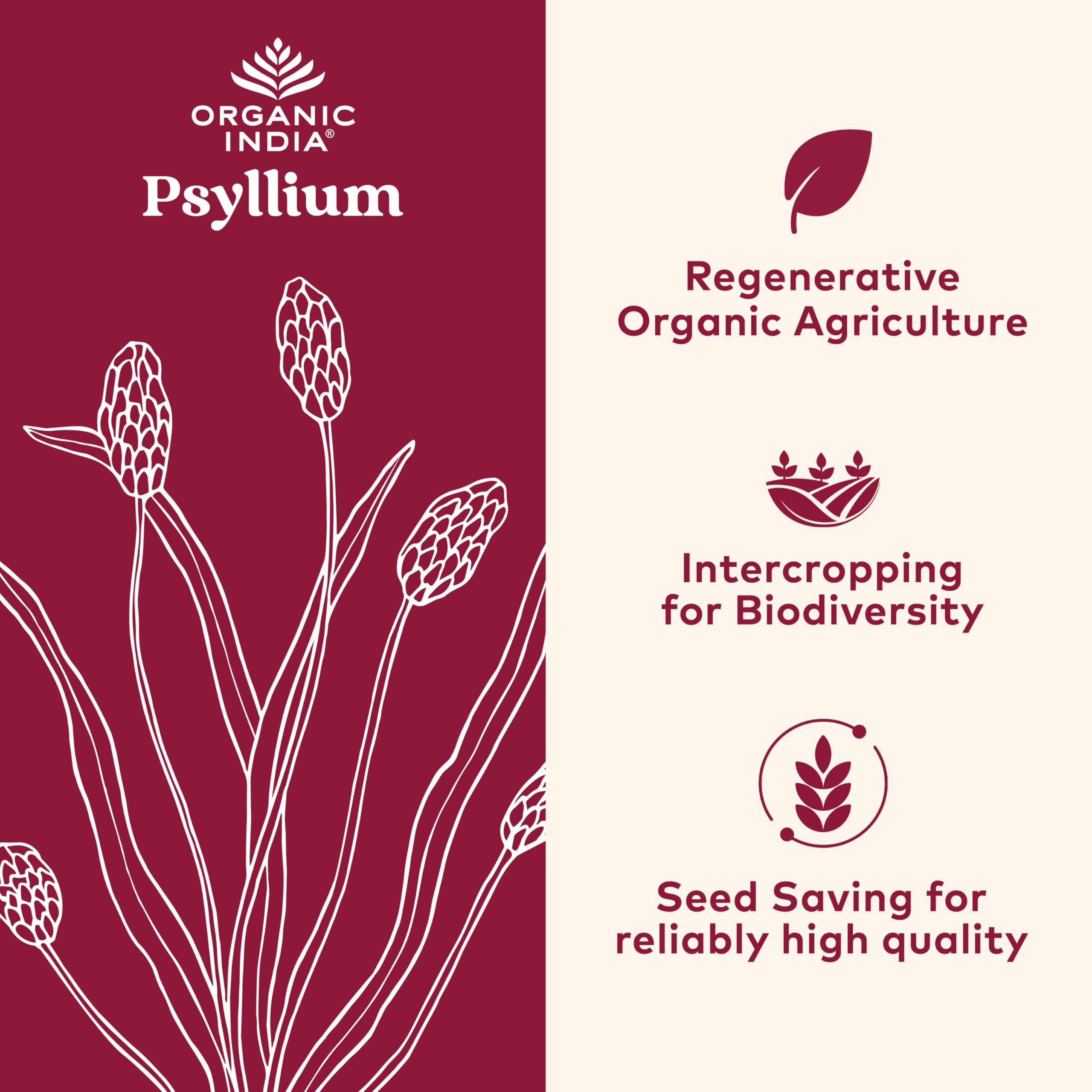 Close-up of ORGANIC INDIA Psyllium Powder jar highlighting organic fiber and purity.