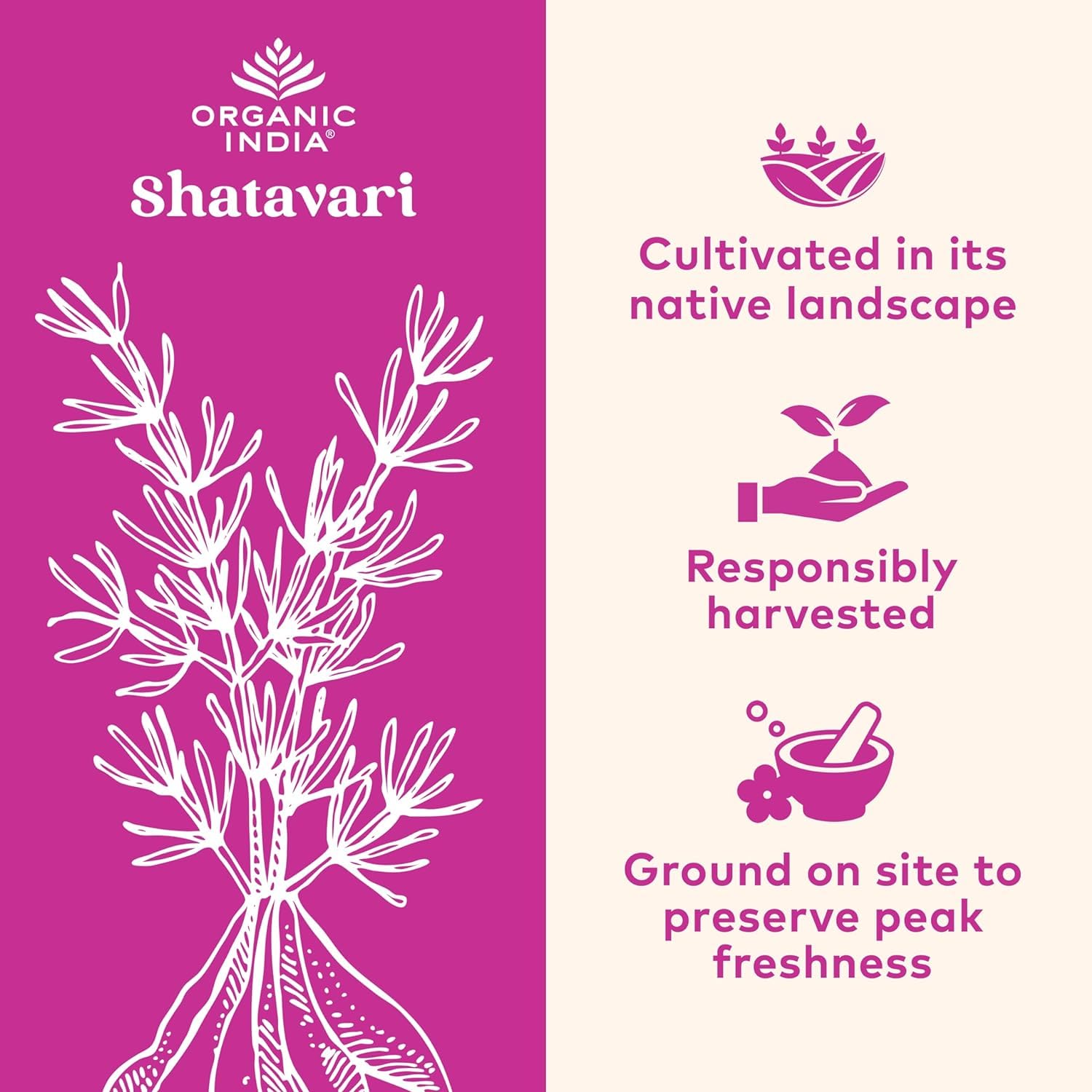 Organic India Shatavari packaging display emphasizes eco-friendly packaging