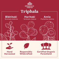 Pouring Organic India Triphala capsules for easy daily use.