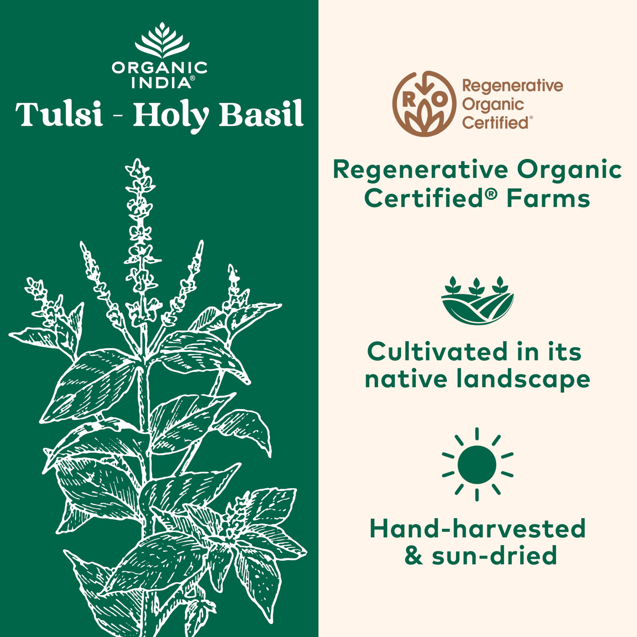 Organic India Tulsi capsules in hand for convenient daily routine