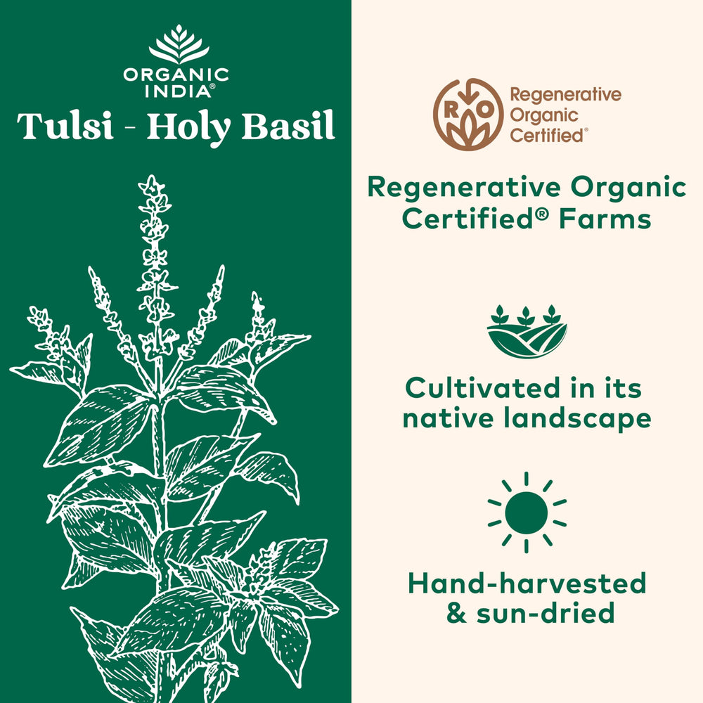 Organic India Tulsi capsules in hand for convenient daily routine