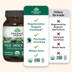 Organic India Tulsi tea brew in cup for mindful ritual