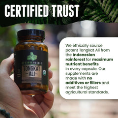 Close-up of Organic Muscle Tongkat Ali capsules for easy daily energy use.