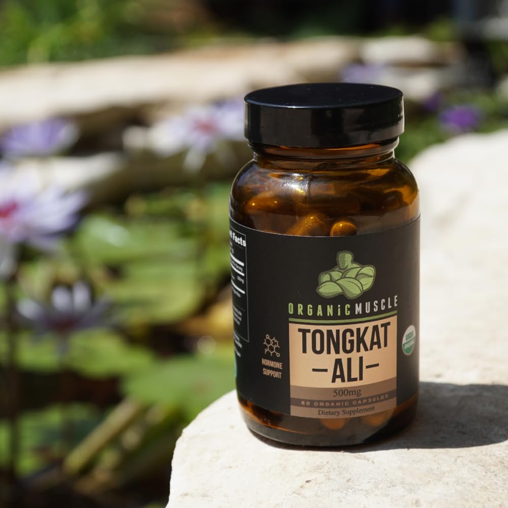 Organic Muscle Tongkat Ali in a daily-use scene suggests sustained focus.