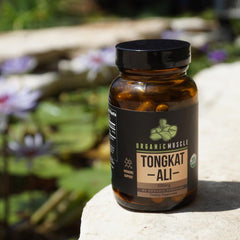 Organic Muscle Tongkat Ali in a daily-use scene suggests sustained focus.