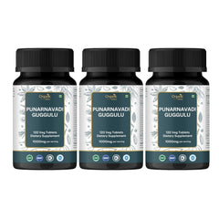 ORGANIC SPREE Punarnavadi Guggulu bottle front for kidney support potential.