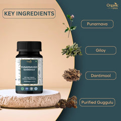 Punarnavadi Guggulu tablets packaging highlights vegetarian formulation and safety testing