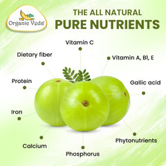Close-up of Organic Veda Amla capsules texture emphasizes plant-based nutrition