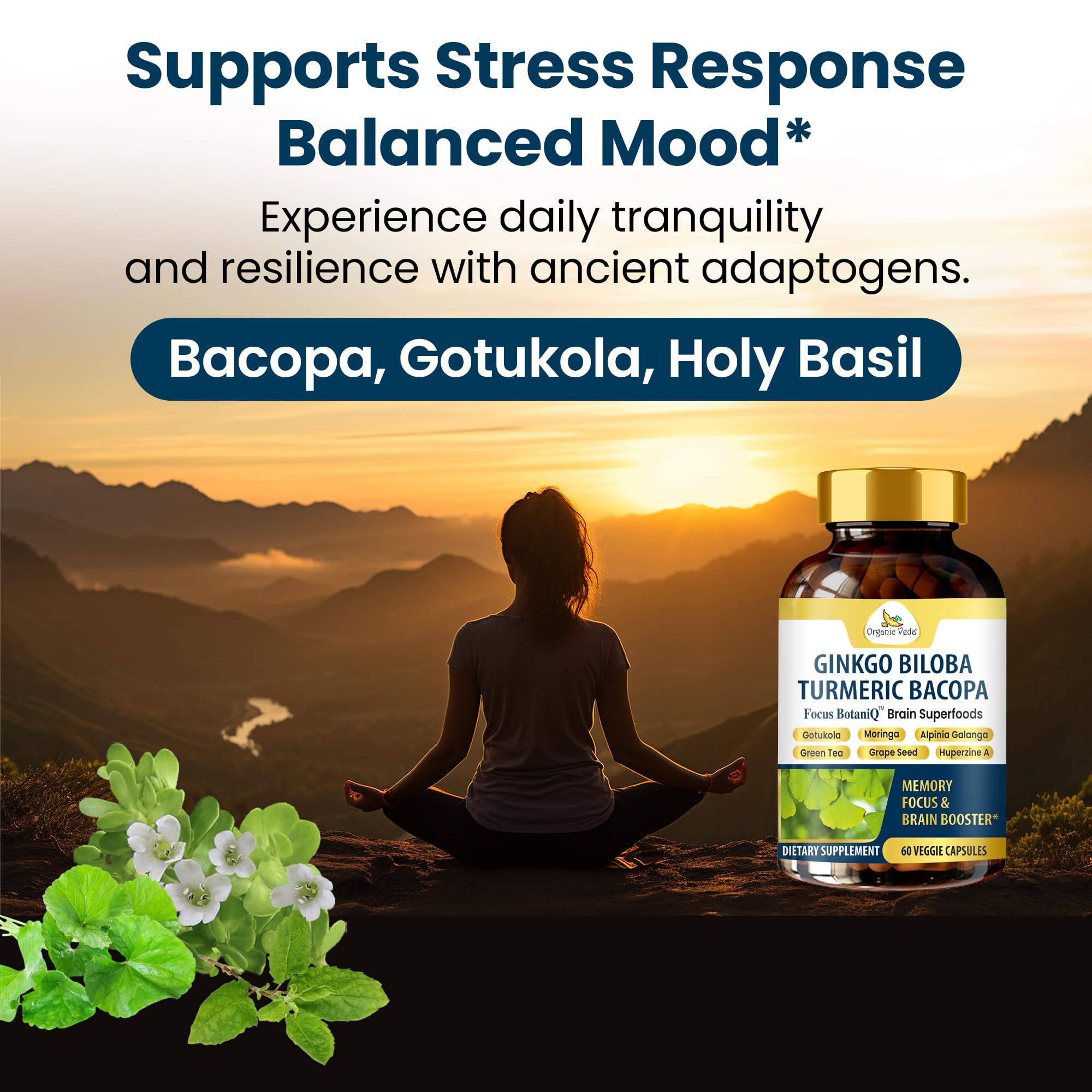 Ginkgo biloba blend visual for FocusBotaniQ.