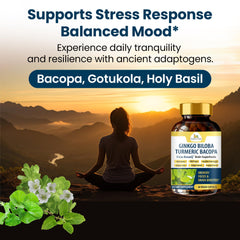 Ginkgo biloba blend visual for FocusBotaniQ.
