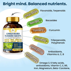 Green tea and grape seed extract components highlighted in FocusBotaniQ.