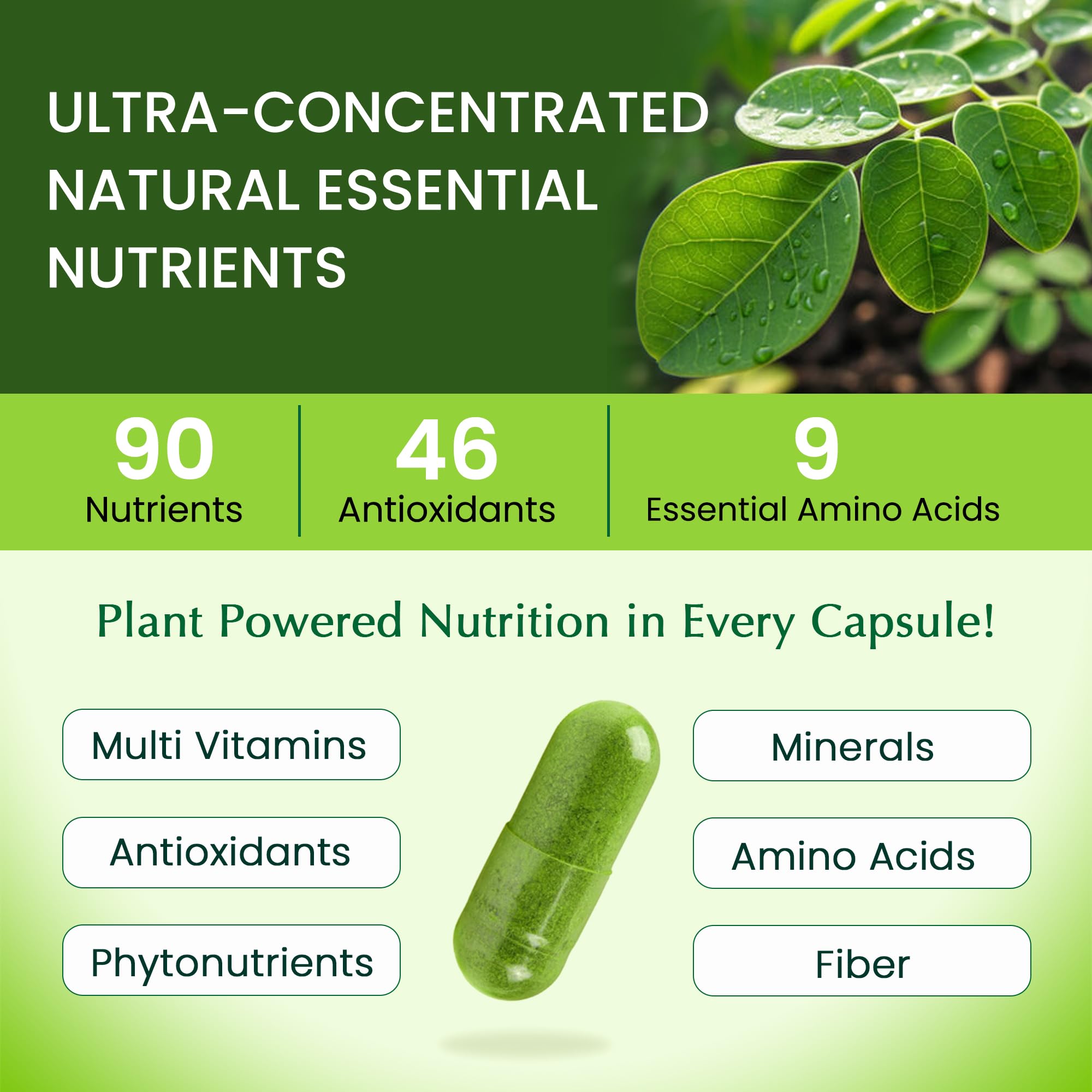Organic Veda Moringa capsules ingredient panel shows pure moringa leaf content for nourishment.
