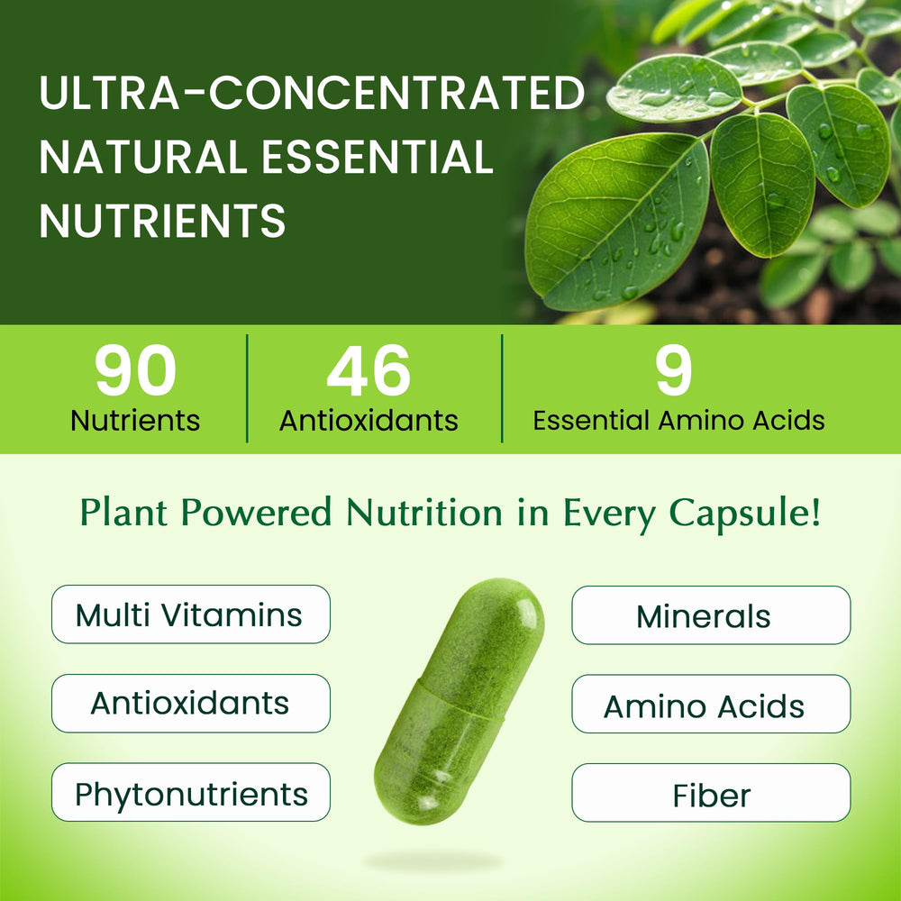 Organic Veda Moringa capsules ingredient panel shows pure moringa leaf content for nourishment.