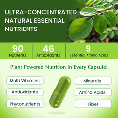 Organic Veda Moringa capsules ingredient panel shows pure moringa leaf content for nourishment.