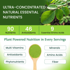 Organic Veda Moringa Powder green powder texture suggests nutrient density for energy.