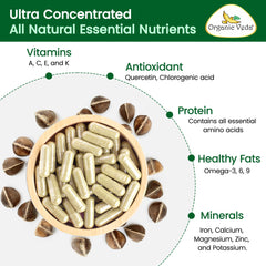 Organic Veda Moringa seed capsules closeup, highlighting small, potent capsules.