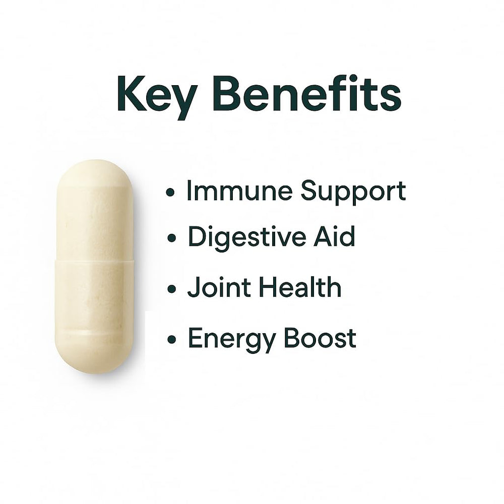 ORGANICS NATURE Irish Sea Moss capsules in hand—ready for daily use.