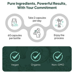 Organics Ocean Better Calcium packaging emphasizes organic and non-GMO ingredients.