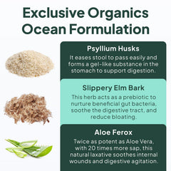 Organics Ocean Better Fiber digestive-scene depicts a calm, balanced gut after use.