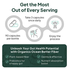 Organics Ocean Better Fiber ingredients psyllium slippery elm aloe ferox support gut comfort.