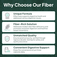 Organics Ocean Better Fiber packaging showcases vegan formulation and triple-testing quality.