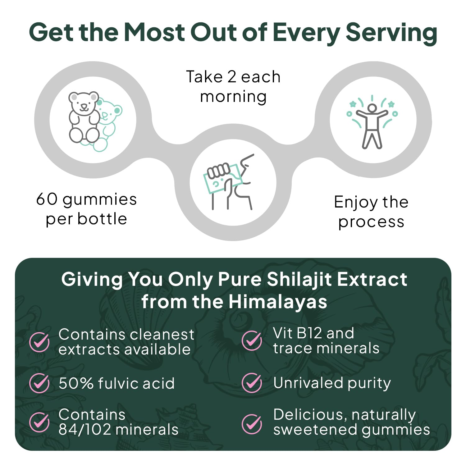 Organics Ocean Shilajit Gummies 60-count bottle for daily routine.