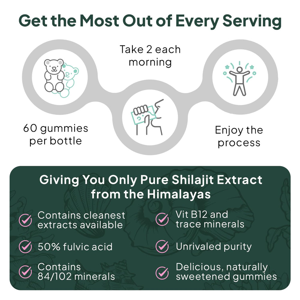 Organics Ocean Shilajit Gummies 60-count bottle for daily routine.