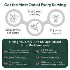 Organics Ocean Shilajit Gummies 60-count bottle for daily routine.