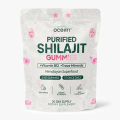 Organics Ocean Shilajit Gummies bottle; premium energy support with pumpkin cocoa flavor
