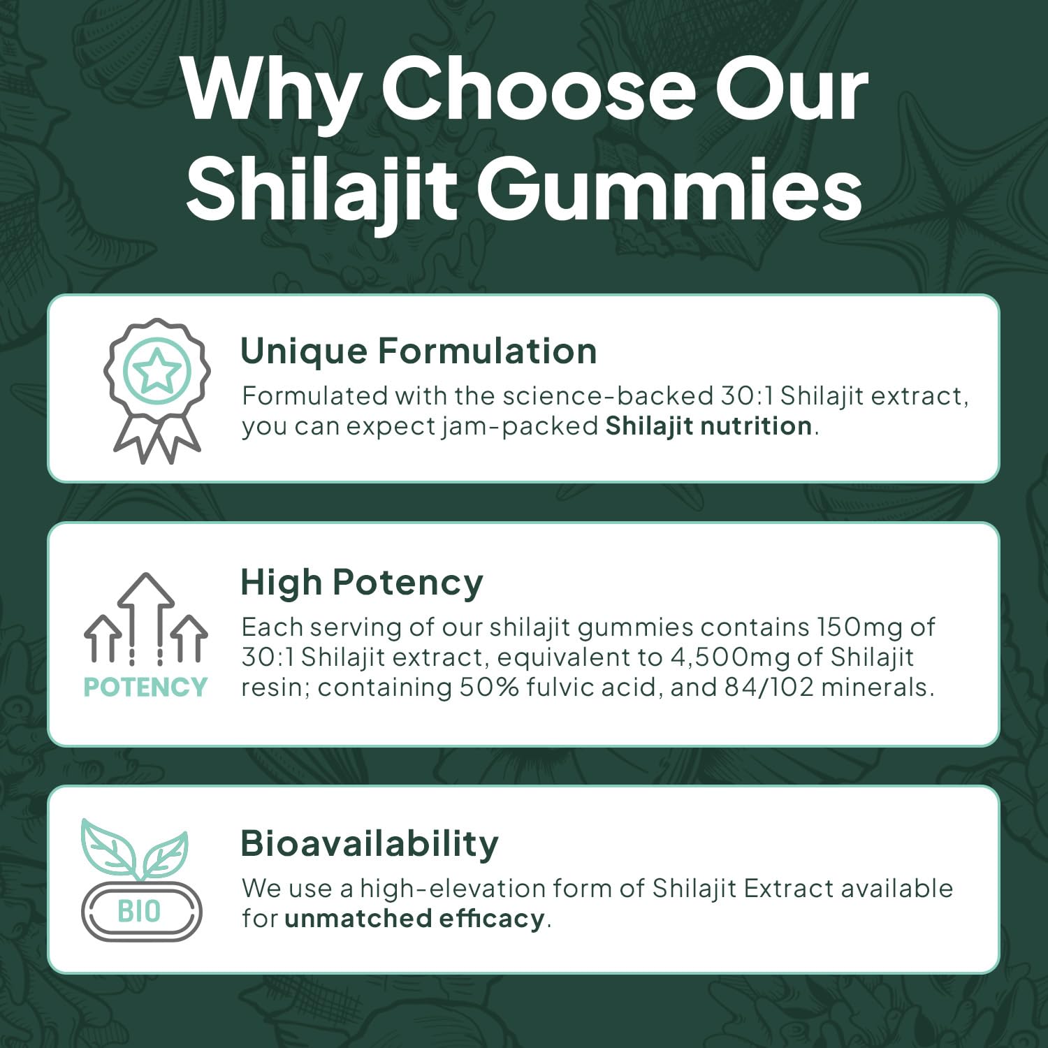Organics Ocean Shilajit Gummies with vitamin B12 in a resealable package.